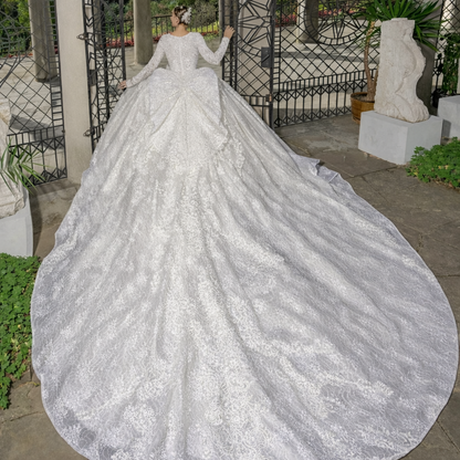 Lace Appliqué Ball Gown Wedding Dress | Sequined Long Sleeve Bridal Gown